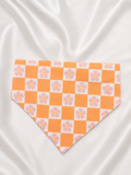 Bandana Daisy