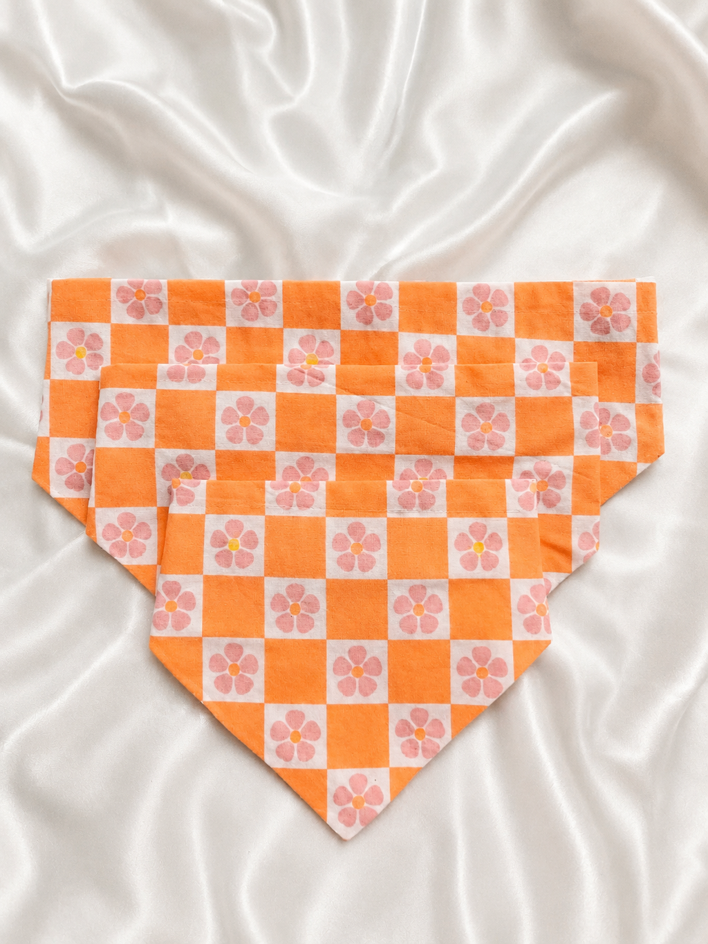 Bandana Daisy