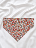 Bandana Liberty
