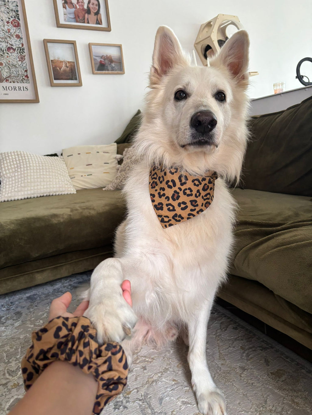 Bandana Léopard